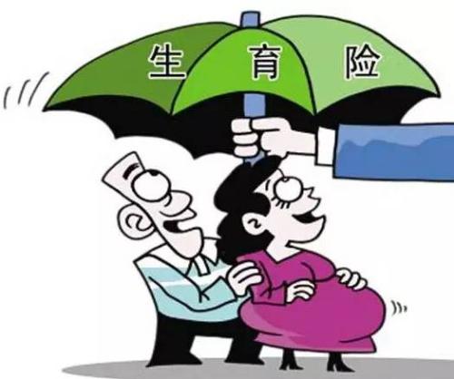 女性生育保險能報多少錢？ 第1張