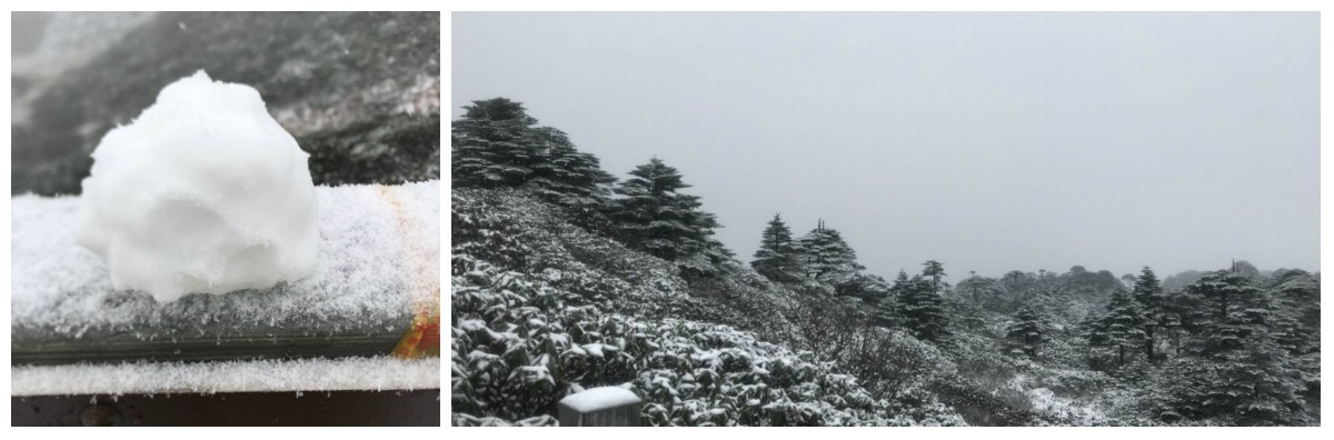 風(fēng)花雪月瑞方情，萬水千山大理行 第6張