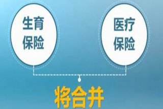 生育保險與基本醫(yī)療保險合并相關知識 第1張